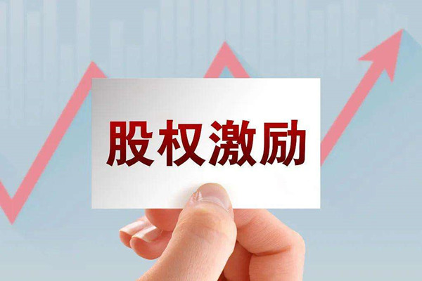 非上市公司為什么要實施股權(quán)激勵？