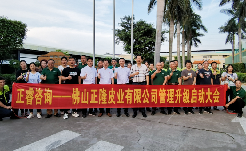 助力皮革行業(yè)再樹標桿——正隆皮業(yè)全面管理升級項目啟動！