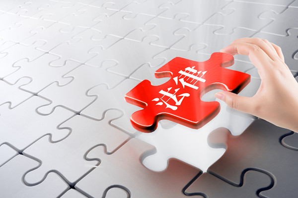 預(yù)算審計(jì)咨詢：指導(dǎo)企業(yè)開展審計(jì)工作，確保預(yù)算合規(guī)