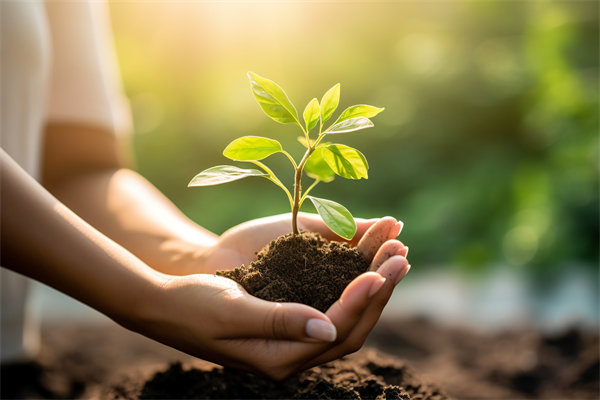 可持續(xù)發(fā)展成為趨勢，企業(yè)如何融入綠色戰(zhàn)略以促增長？