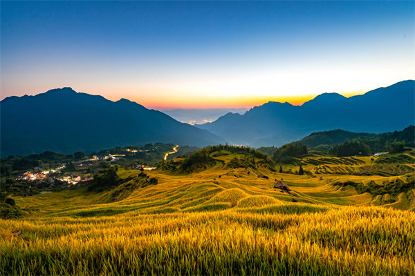 定制化管理咨詢(xún)方案：麗水企業(yè)轉(zhuǎn)型升級(jí)的鑰匙？
