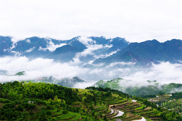 溫州供應(yīng)鏈咨詢公司如何優(yōu)化企業(yè)供應(yīng)鏈流程？