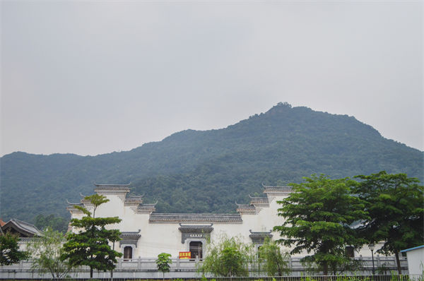 佛山組織規(guī)劃咨詢公司如何優(yōu)化企業(yè)人才梯隊(duì)建設(shè)？