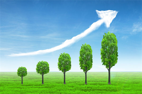 植樹就是植未來，對企業(yè)的戰(zhàn)略規(guī)劃有哪些啟示？