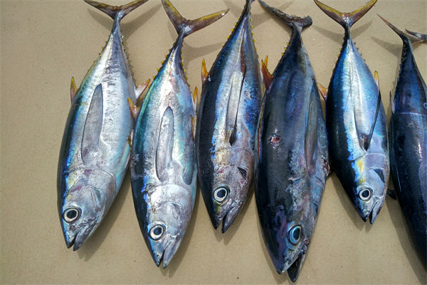 商務(wù)部：將幫助外貿(mào)企業(yè)擴(kuò)寬內(nèi)銷渠道，政策解讀！