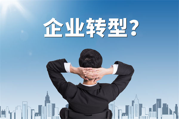 企業(yè)轉(zhuǎn)型無方向，數(shù)智化咨詢公司能否指引明路？