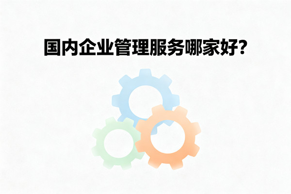 國內(nèi)企業(yè)管理服務(wù)哪家好？