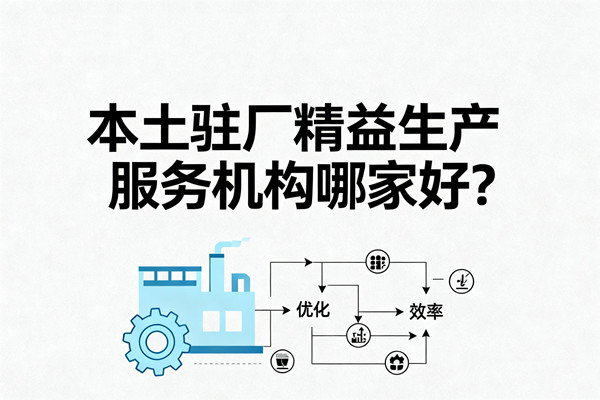 本土駐廠精益生產(chǎn)服務(wù)機(jī)構(gòu)哪家好？
