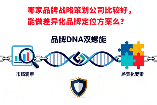 哪家品牌戰(zhàn)略策劃公司比較好，能做差異化品牌定位方案么？