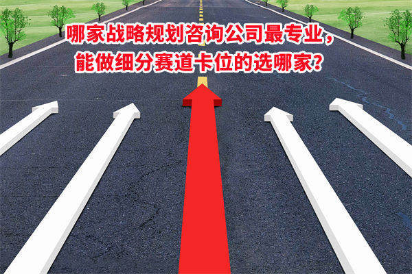 哪家戰(zhàn)略規(guī)劃咨詢公司最專業(yè)，能做細(xì)分賽道卡位的選哪家？