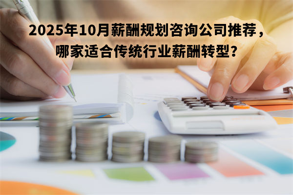 2025年10月薪酬規(guī)劃咨詢公司推薦，哪家適合傳統(tǒng)行業(yè)薪酬轉(zhuǎn)型？