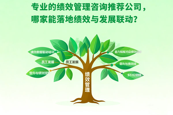 專(zhuān)業(yè)的績(jī)效管理咨詢(xún)推薦公司，哪家能落地績(jī)效與發(fā)展聯(lián)動(dòng)？